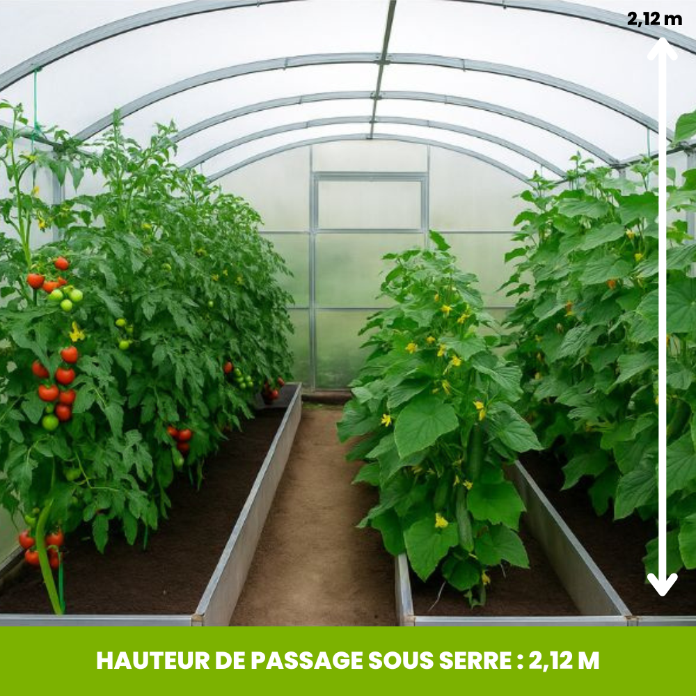 Serre de Jardin Polycarbonate  - L'Élégante