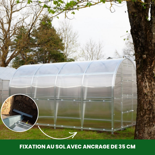 Serre de Jardin Polycarbonate - La Sereine