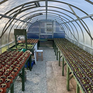 Serre de Jardin Polycarbonate - La Tradi