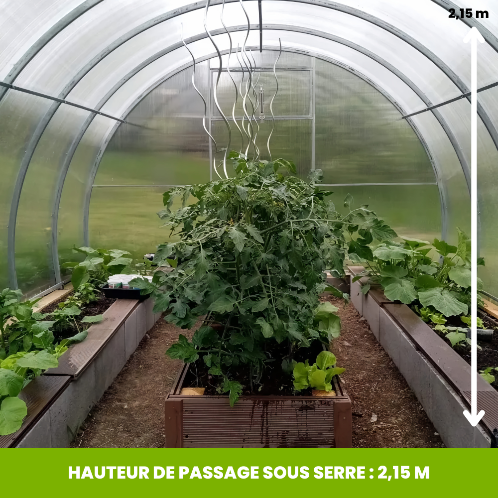 Serre de Jardin Polycarbonate - La Tradi